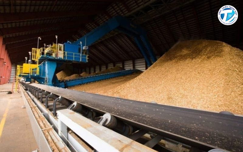 Cơ sở xử lý phụ phẩm hữu cơ để tạo khí sinh học phục vụ nhu cầu năng lượng.